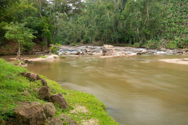 blog-image